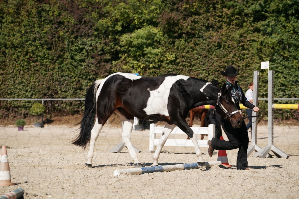 s_A_907531.JPG